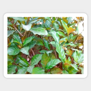 Green Leaves Sticker